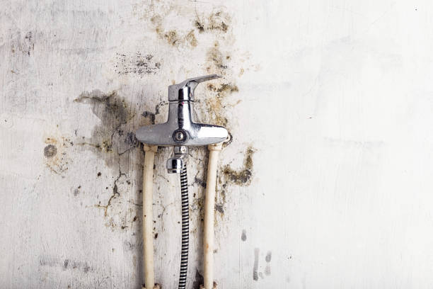 Best Residential Mold Remediation in Northlakes, NC